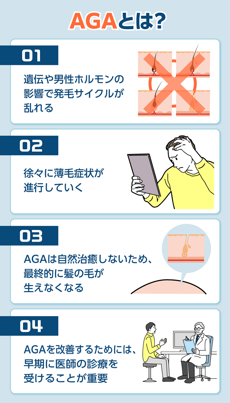 AGA治療の進行に関する図解