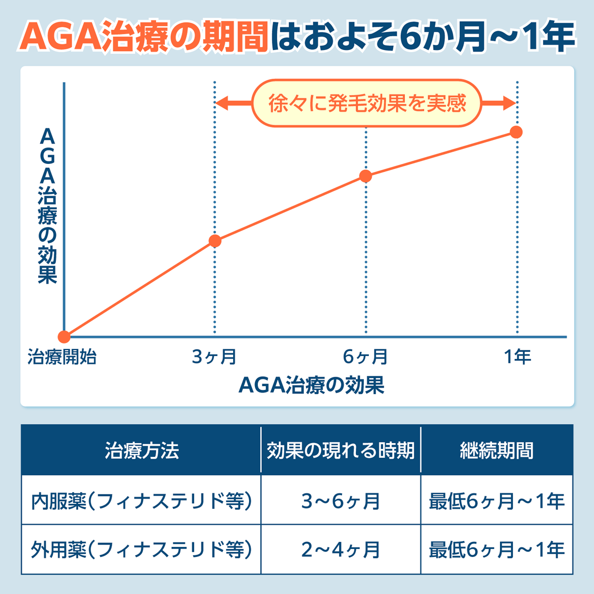 AGA治療の期間はおよそ6か月～1年