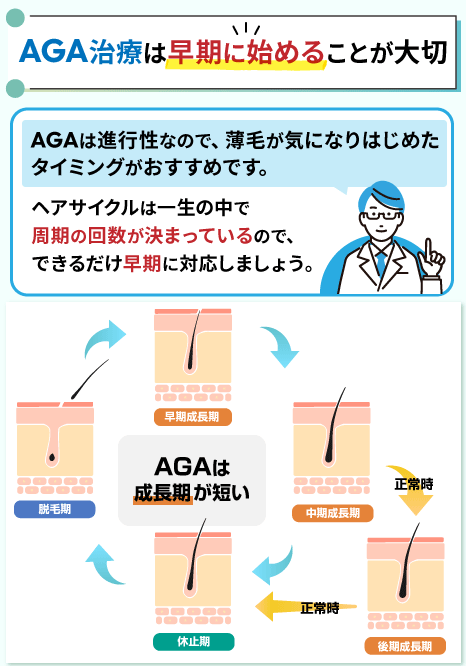 AGA治療に関するヘアサイクルの図解